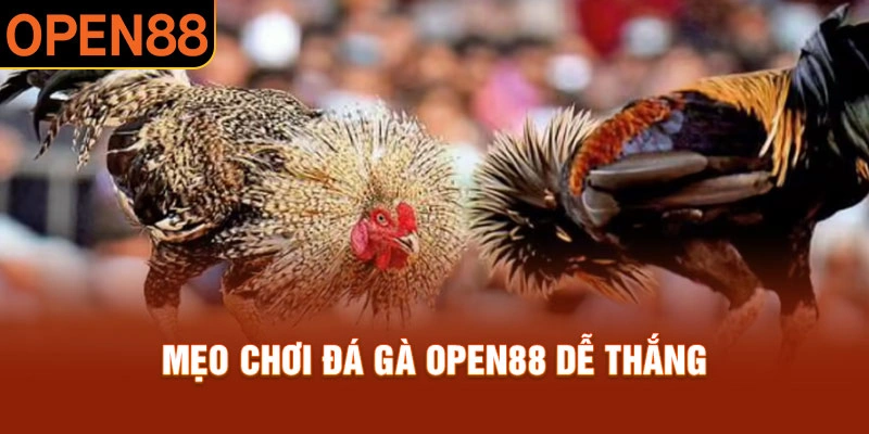 Nắm r&otilde; mẹo để chinh chiến đ&aacute; g&agrave; Open88 thắng chắc