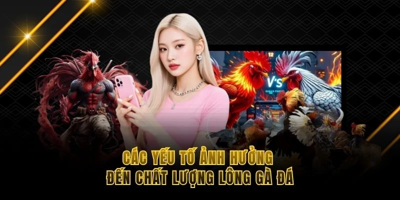 C&aacute;c yếu tố ảnh hưởng đến chất lượng l&ocirc;ng g&agrave; đ&aacute;