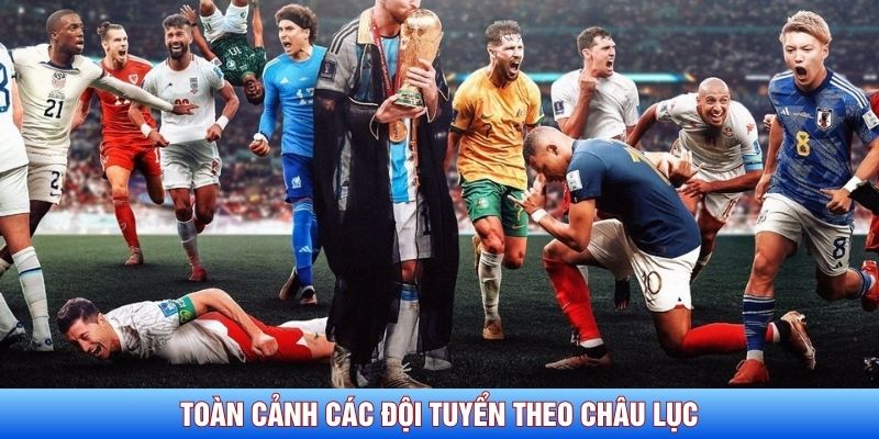 To&agrave;n cảnh c&aacute;c đội tuyển theo ch&acirc;u lục
